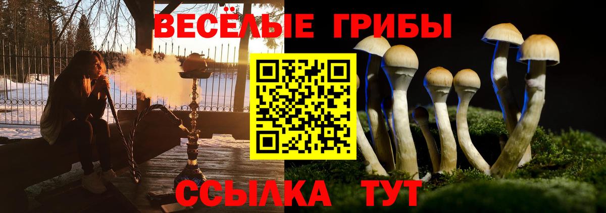 Псилоцибиновые грибы Psilocybine cubensis Гагарин
